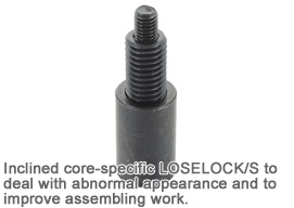 LOSELOCK/S