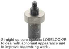 LOSELOCK/R